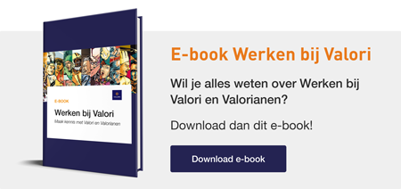 E-book Werken bij Valori