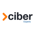 Ciber experis
